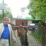 Tadeusz, 67